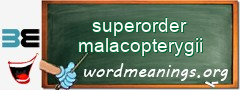 WordMeaning blackboard for superorder malacopterygii